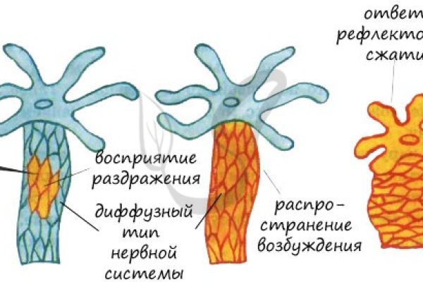 Что продают на кракене